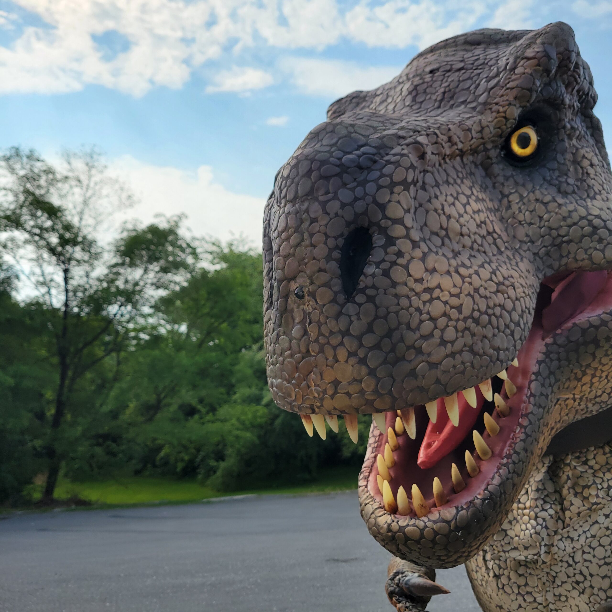 Stevie the t rex