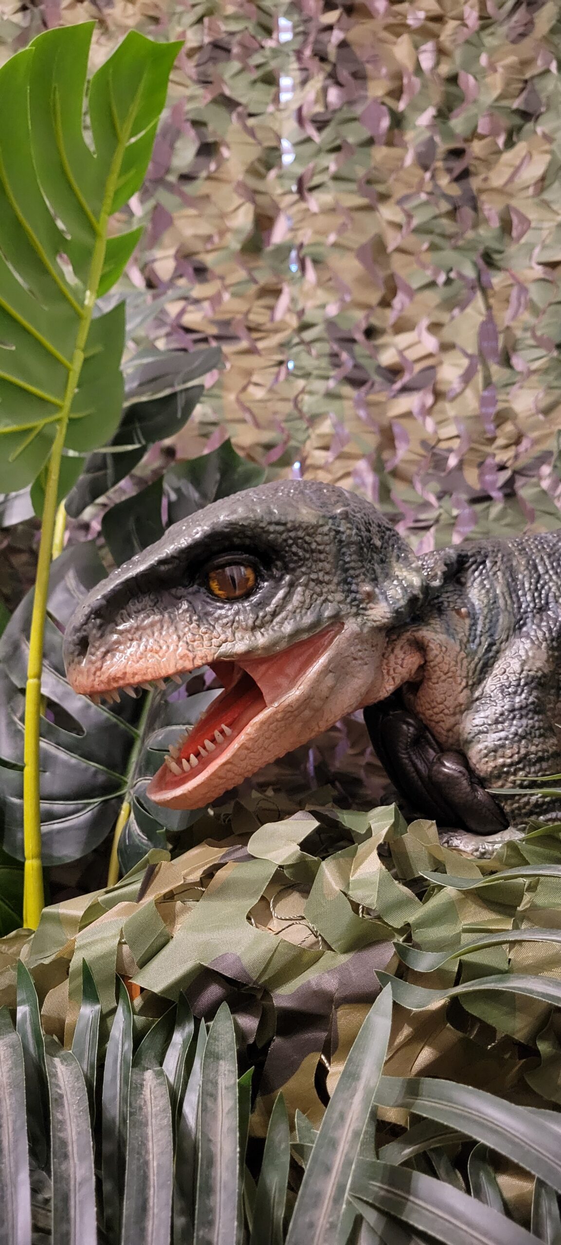 Storm the raptor