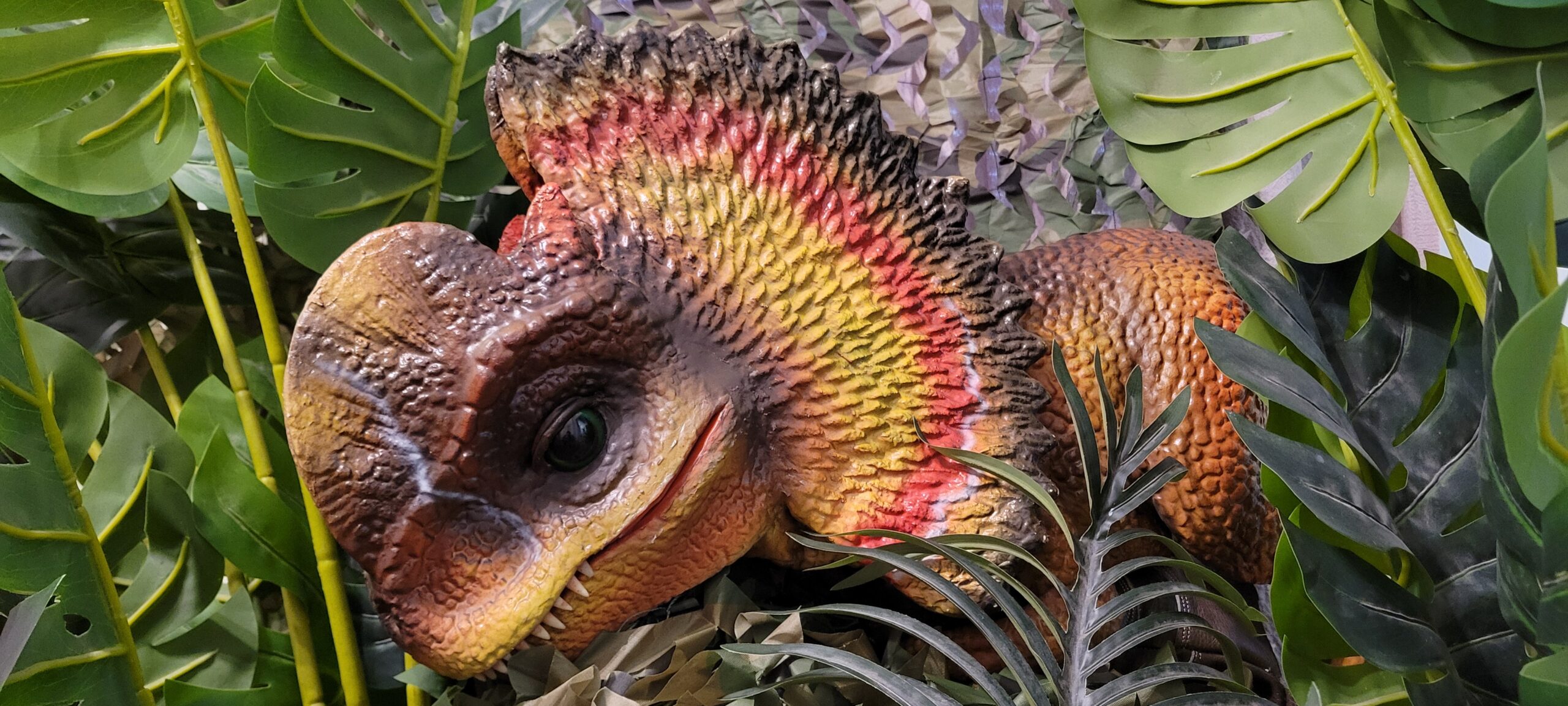 Zingo the Dilophosaurus