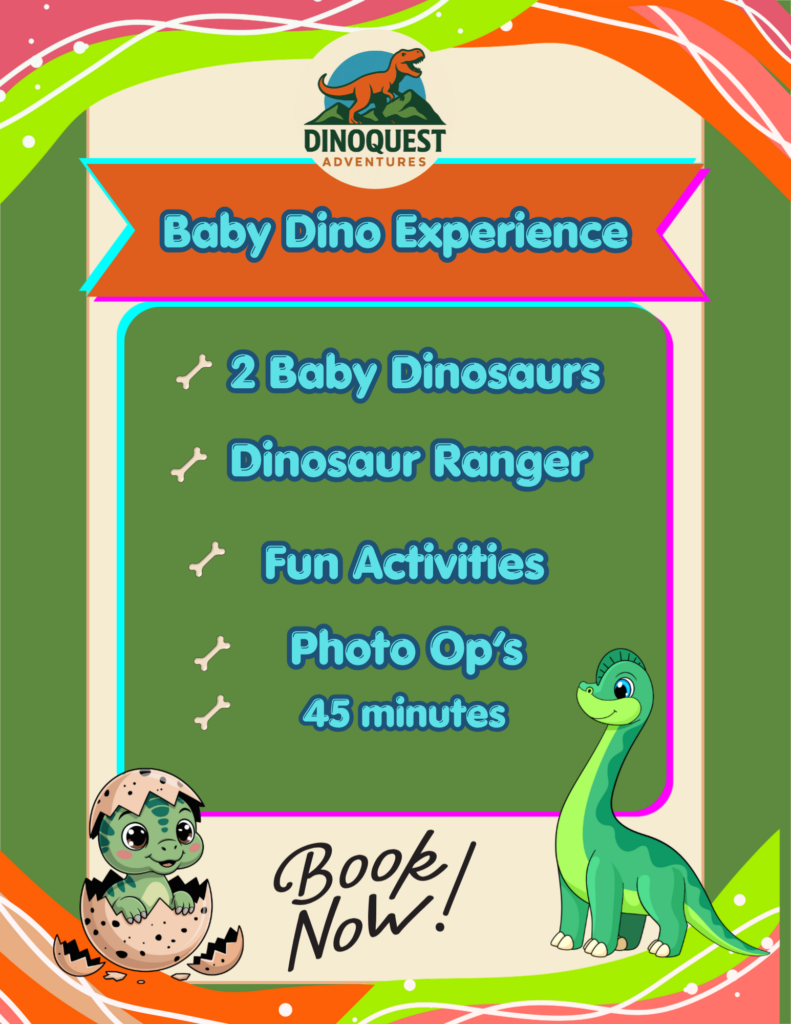Baby dinosaur
